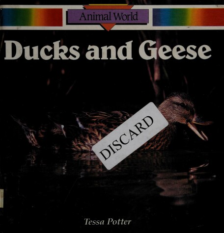 Book cover for Ducks and Geese