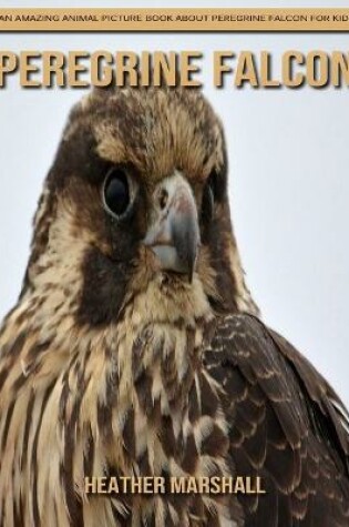 Cover of Peregrine Falcon