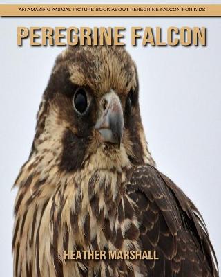 Book cover for Peregrine Falcon