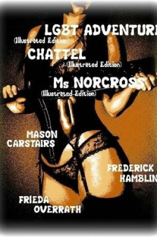 Cover of Lgbt Adventure- Chattel- Ms Norcross