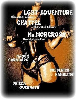 Book cover for Lgbt Adventure- Chattel- Ms Norcross