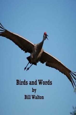 Cover of Birds and Words