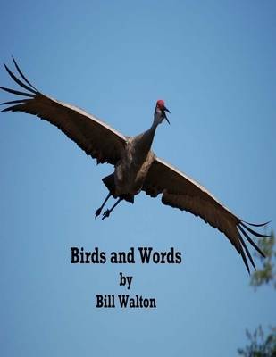 Book cover for Birds and Words