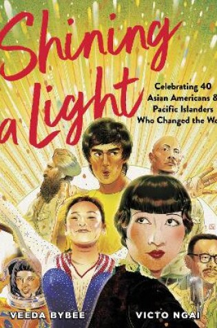 Cover of Shining a Light