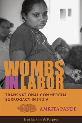 Book cover for Wombs in Labor