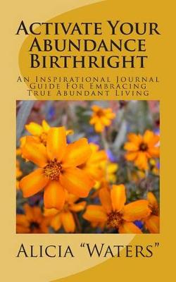 Book cover for Activate Your Abundance Birthright