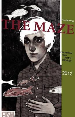 Cover of Navigating the Maze