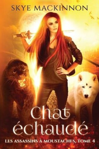 Cover of Chat échaudé