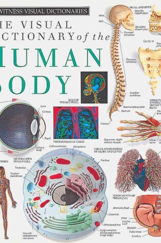 Cover of Eyewitness Visual Dictionaries: The Visual Dictionary of the Human Body