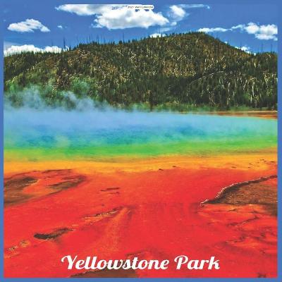 Book cover for Yellowstone Park 2021 Wall Calendar