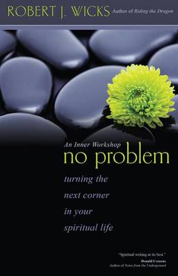 Book cover for No Problem