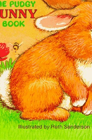 Cover of The Pudgy Bunny Book