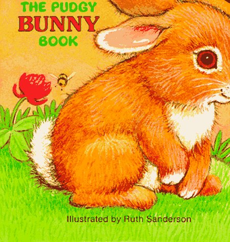 Book cover for The Pudgy Bunny Book