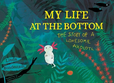 Book cover for My Life at the Bottom