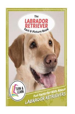 Book cover for The Labrador Retriever Fact and Picture Book
