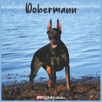 Book cover for Dobermann 2021 Wall Calendar