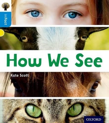 Book cover for Oxford Reading Tree inFact: Oxford Level 3: How We See
