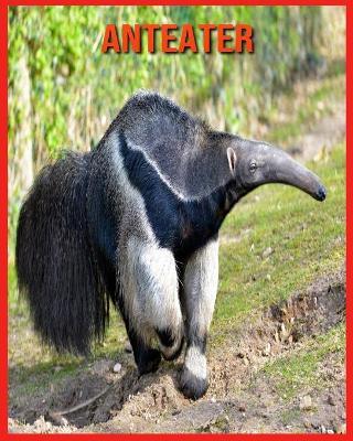 Book cover for Anteater