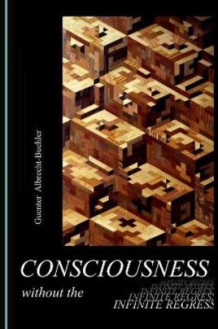 Cover of Consciousness without the Infinite Regress