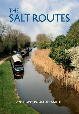 Book cover for The Salt Routes