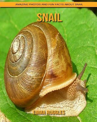 Book cover for Snail