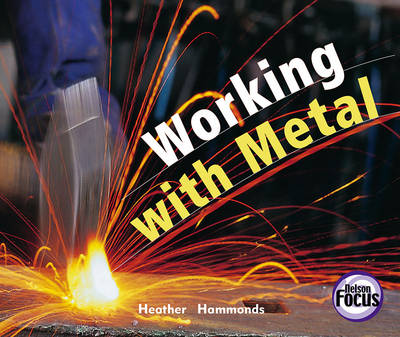 Book cover for Working with Metal