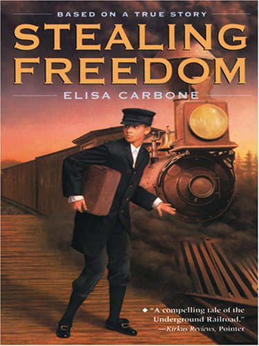 Book cover for Stealing Freedom PB