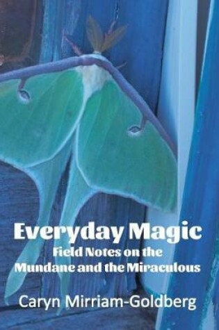 Cover of Everyday Magic