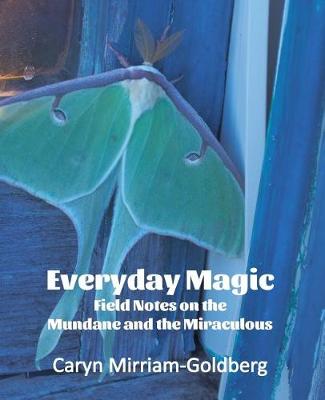 Book cover for Everyday Magic