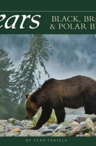 Cover of Bears