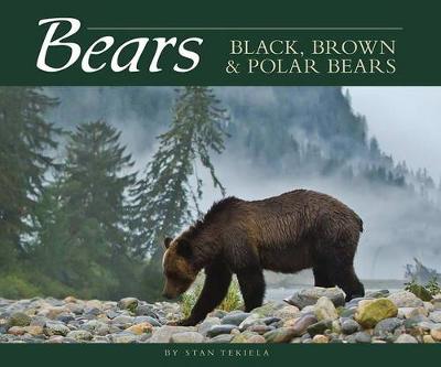 Book cover for Bears