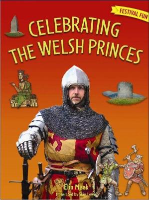 Book cover for Festival Fun: Celebrating the Welsh Princes