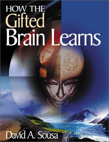 Book cover for How the Gifted Brain Learns