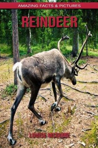 Cover of Reindeer