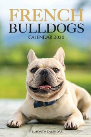 Cover of French Bulldogs Calendar 2020