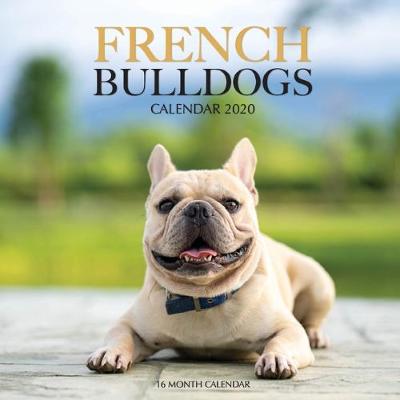 Book cover for French Bulldogs Calendar 2020