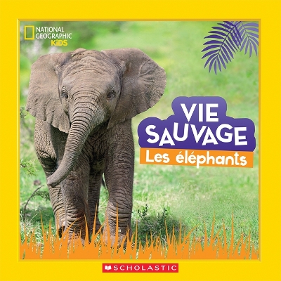 Book cover for National Geographic Kids: Vie Sauvage: Les �l�phants