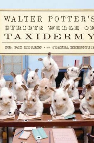 Cover of Walter Potter's Curious World of Taxidermy
