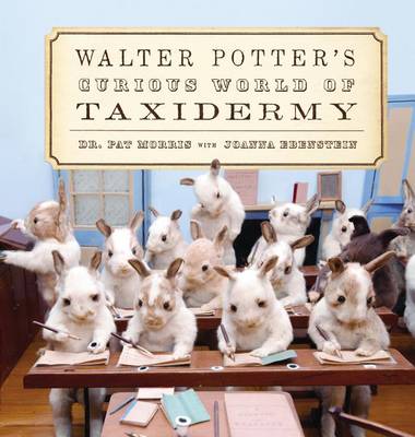 Book cover for Walter Potter's Curious World of Taxidermy