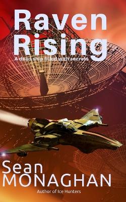 Book cover for Raven Rising