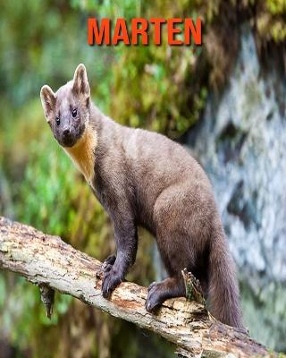 Book cover for Marten