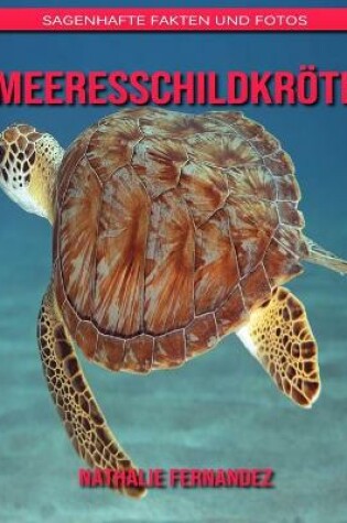 Cover of Meeresschildkröte