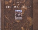 Book cover for Bighorn Sheep