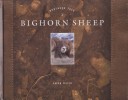 Cover of Bighorn Sheep