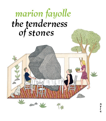 Cover of The Tenderness of Stones