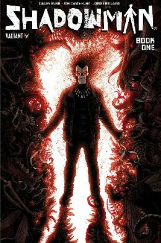 Cover of Shadowman Book 1