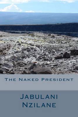 Book cover for The Naked President