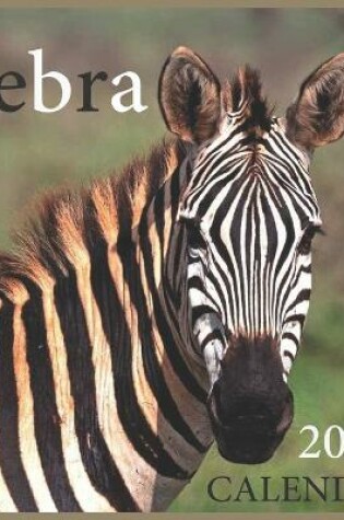 Cover of Zebra CALENDAR 2022