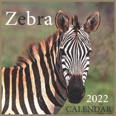 Book cover for Zebra CALENDAR 2022