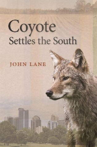 Cover of Coyote Settles the South